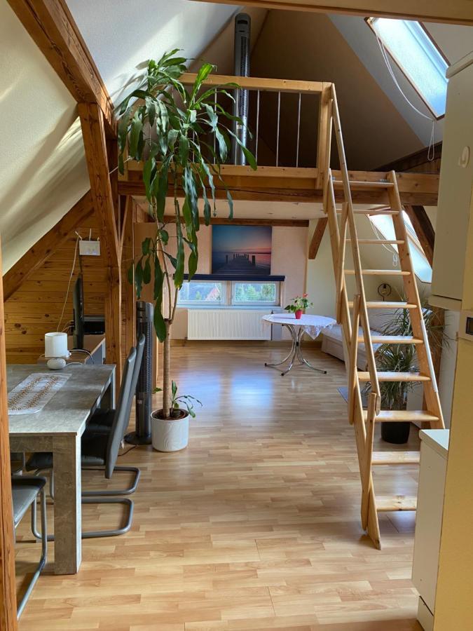 Helles Und Charmantes Loft Mit Herrlichem Blick Dresden Dış mekan fotoğraf