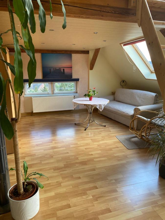 Helles Und Charmantes Loft Mit Herrlichem Blick Dresden Dış mekan fotoğraf