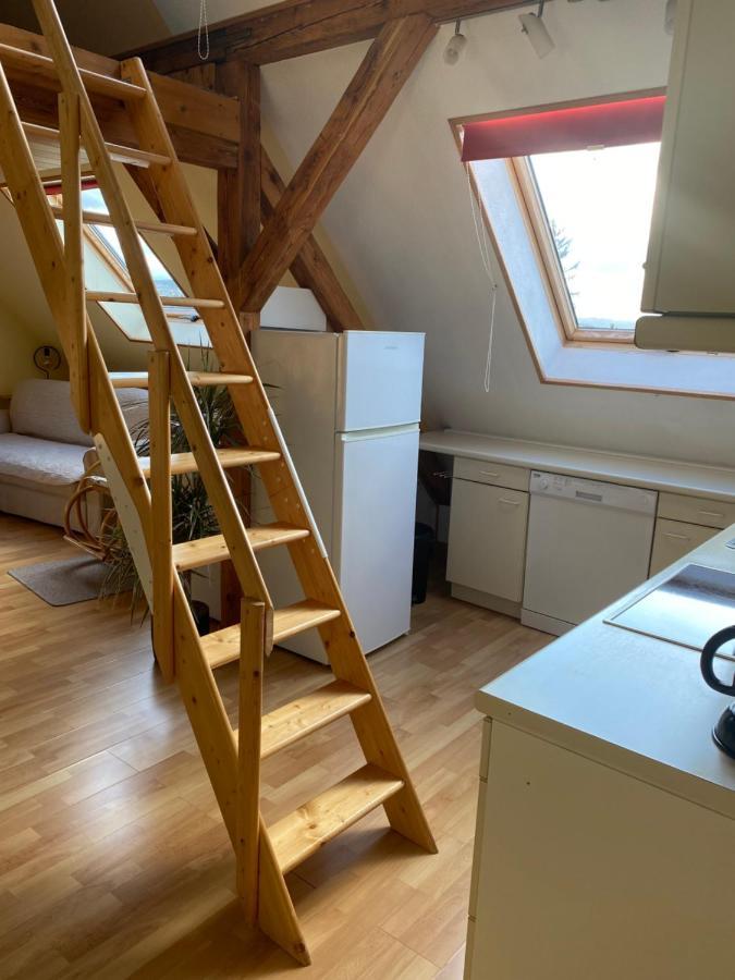 Helles Und Charmantes Loft Mit Herrlichem Blick Dresden Dış mekan fotoğraf