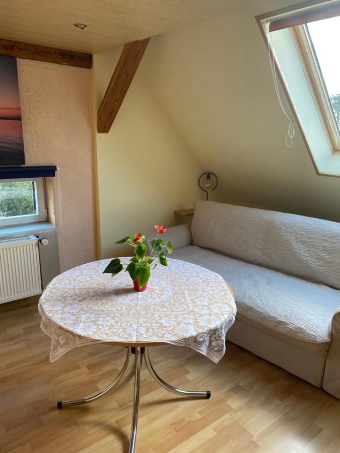 Helles Und Charmantes Loft Mit Herrlichem Blick Dresden Dış mekan fotoğraf