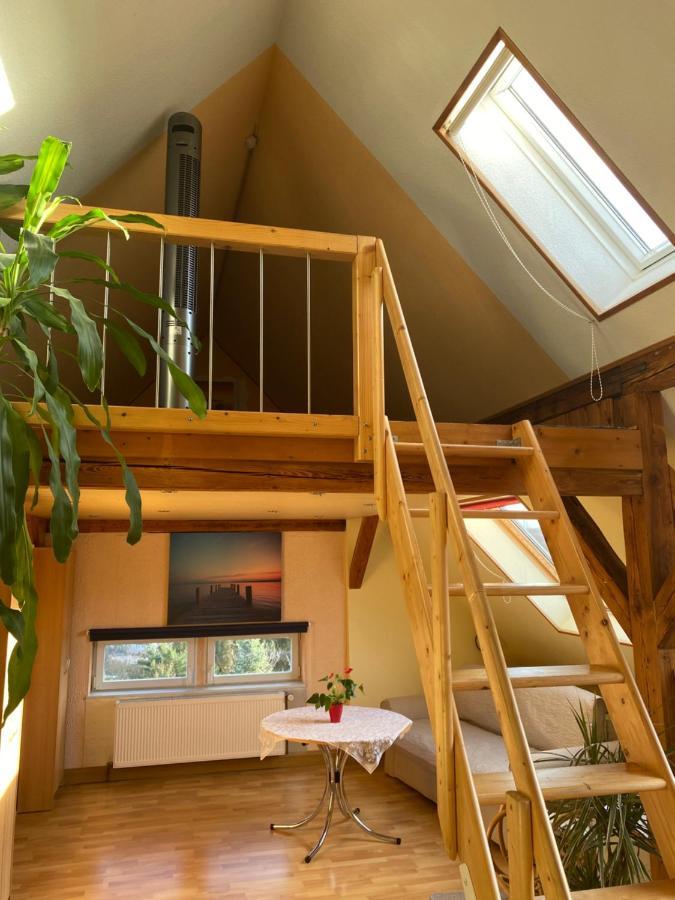 Helles Und Charmantes Loft Mit Herrlichem Blick Dresden Dış mekan fotoğraf