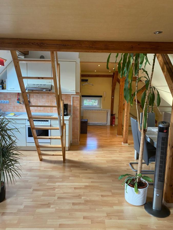 Helles Und Charmantes Loft Mit Herrlichem Blick Dresden Dış mekan fotoğraf